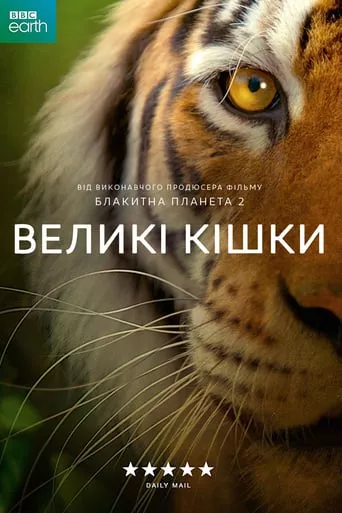 Серіал 'Великі кішки' постер