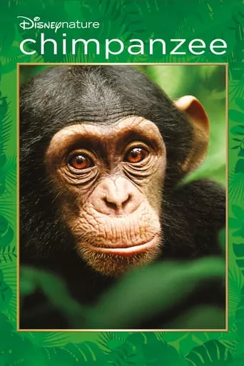 Фільм 'Шимпанзе' постер