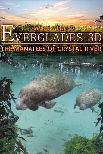 Фільм 'Еверглейдс: Ламантини Кришталевої річки' постер