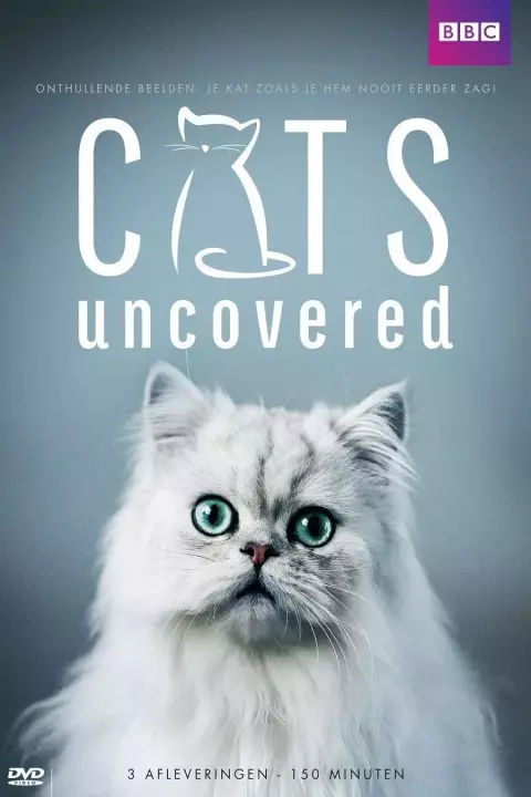 Серіал 'Коти без прикриття' постер