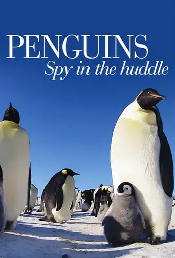 Серіал 'Очима пінгвінів' постер