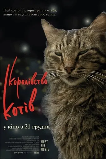 Фільм 'Королівство котів' постер