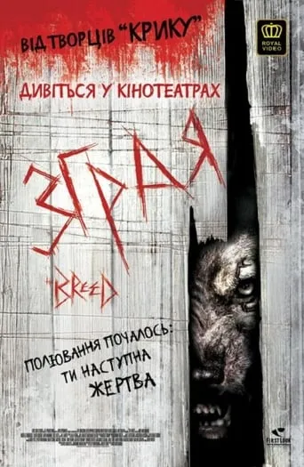 Фільм 'Зграя / Порода' постер