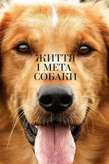 Серіал 'Життя і мета собаки' постер