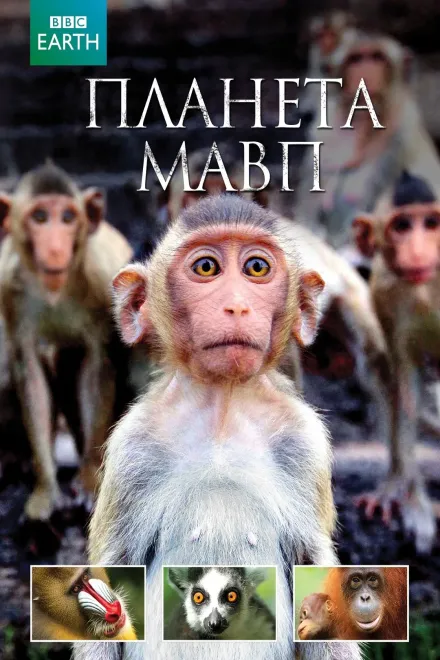 Серіал 'Планета мавп' постер