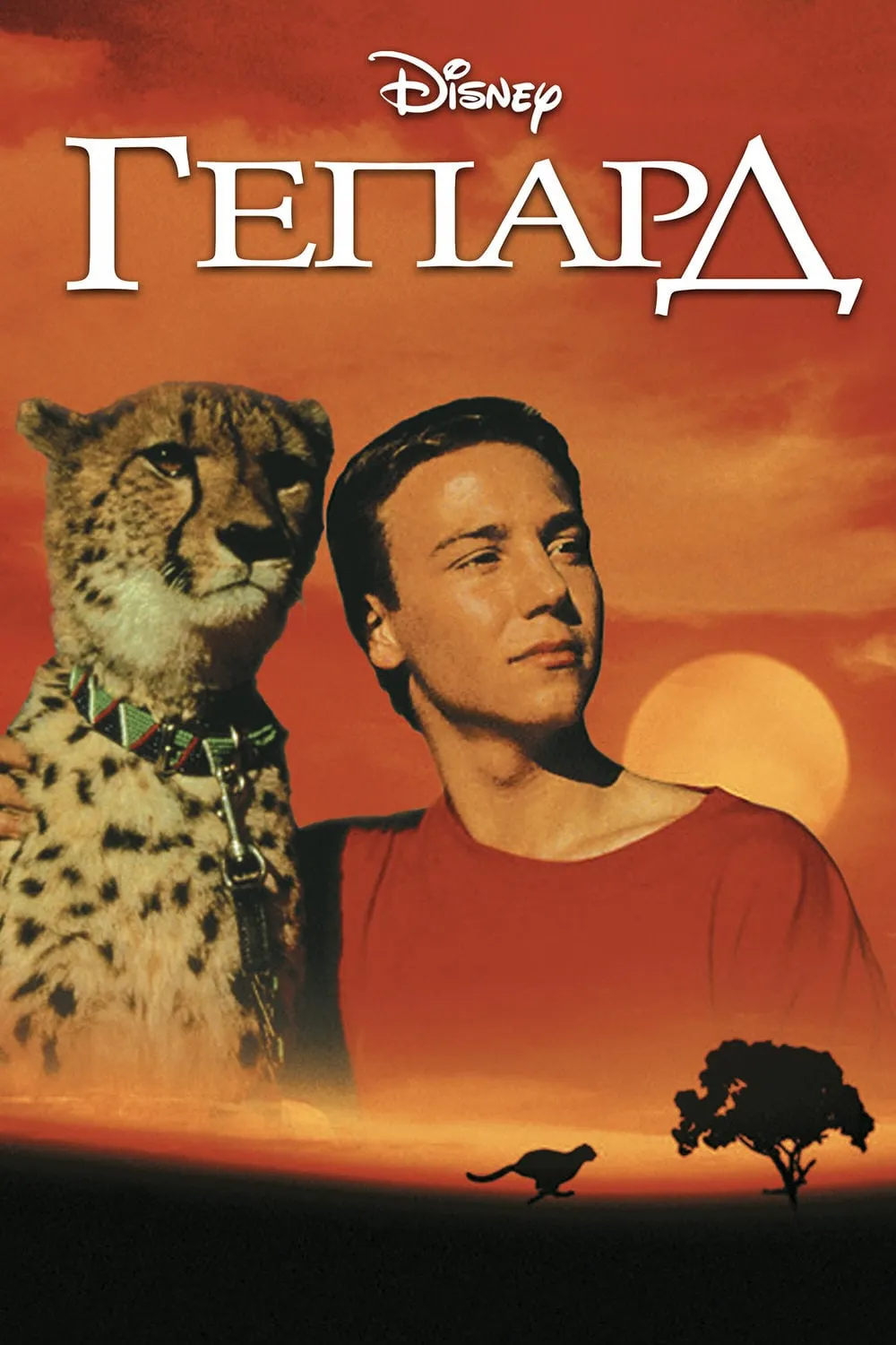 Фільм 'Стрибок гепарда / Гепард' постер