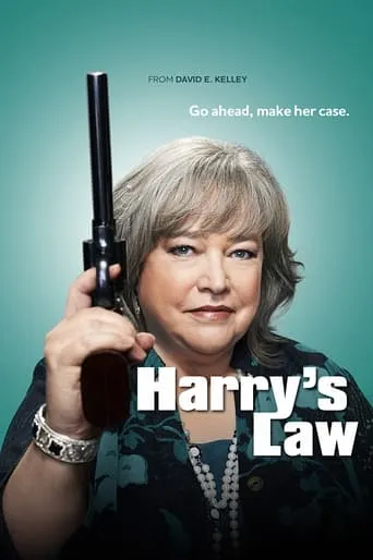 Серіал 'Закон Геррі / Закон Херрі' постер
