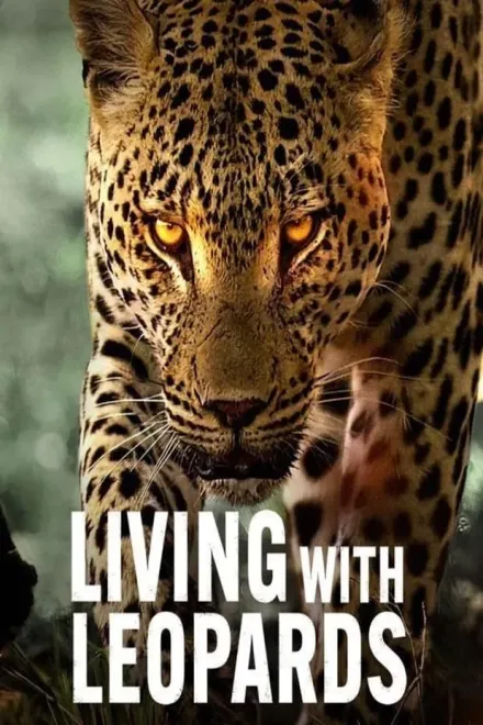 Фільм 'Життя з леопардами' постер